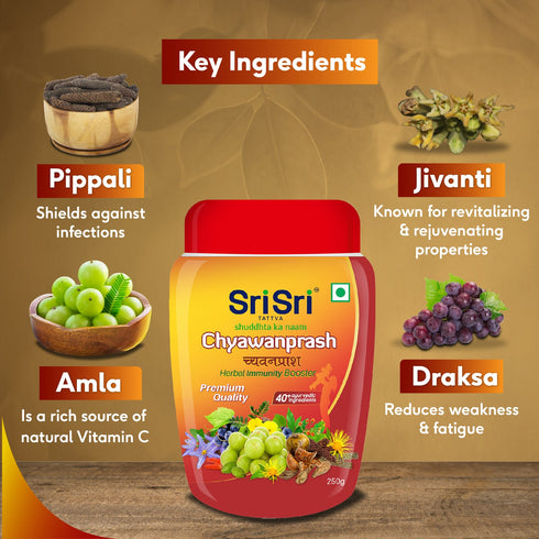 Sri Sri Tattva Chyawanprash 250g